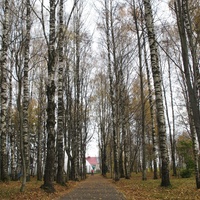 Сыктывкар 2015 - Мичуринский парк