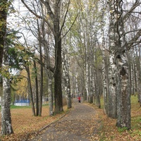 Сыктывкар 2015 - Мичуринский парк