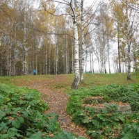 Сыктывкар 2015 - Мичуринский парк