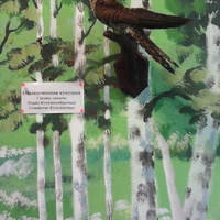 В зале птиц смешанных и хвойных лесов музея «Мир птиц национального парка Мещёра. Обыкновенная кукушка