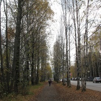 Сыктывкар 2015 - ул. Пушкина