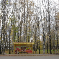 Сыктывкар 2015 - ул. Пушкина