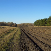 Ясная погода