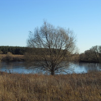 Кубань. Заводской пруд