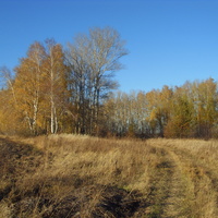 Кубань. Конец октября 2015