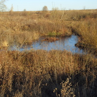 Бобриная заводь