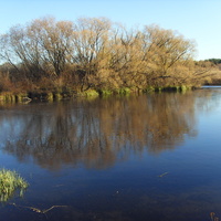 Ледовое отражение
