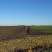 Поля Кубани