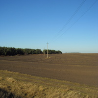 Поле под пар