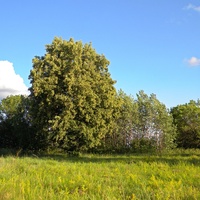 Природа села Клейменово