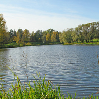 Мариентальский пруд