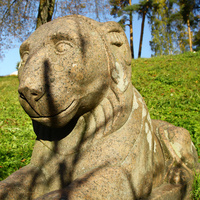 На берегу Мариентальского пруда