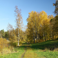 Берег Мариентальского пруда