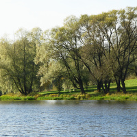 Мариентальский пруд