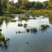 Мариентальский пруд
