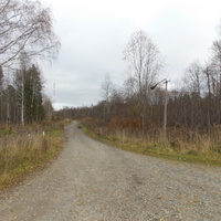 Дорога со станции в деревню