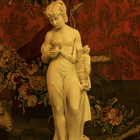 Павловский дворец. В Ковровом кабинете.