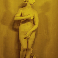 Павловский дворец. В Греческом зале.