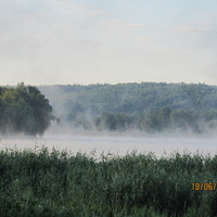 Туман над ставком