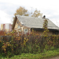 Сыктывкар 2015 - Давпон