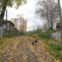 Сыктывкар 2015 - Давпон