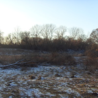 Морозный день