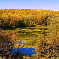 Река Ворона и Теллермановский лес. Осень.