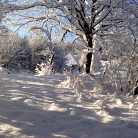 хутор Самурский в зимнем наряде