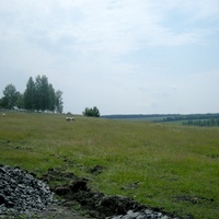 Природа села Соколовка