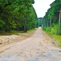 Участок лесной дороги от с. Зелёный Бор до с. Старотомниково