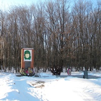 Урочище «Толстое», памятник павшим воинам 219-й стрелковой дивизии.