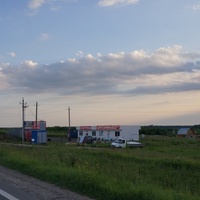 ДНП Дубрава