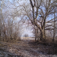 Солнечный день