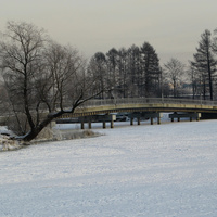 Большой Чухонский пешеходный мост