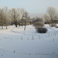 Парк в Колпино