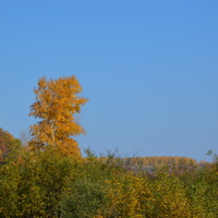 Серафимовский осень.