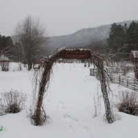Ботанический сад зимой.