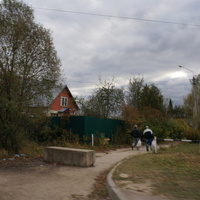 Вельяминово