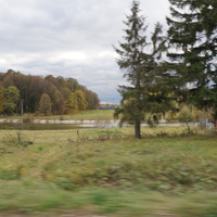 Вельяминово