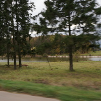 Вельяминово