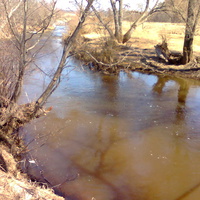 река шаня