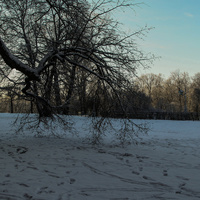 Павловский парк