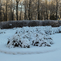 Павловский парк