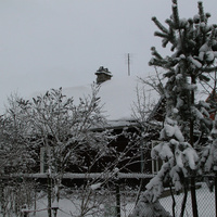 Партизанский переулок