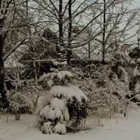 Партизанский переулок