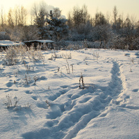 Садовые участки на окраине Славянки