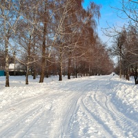 Тіньки.Зимова вулиця.