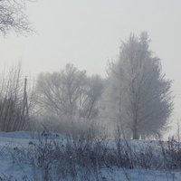 белая зима