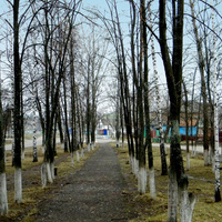Облик села Ивановская Лисица