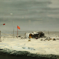 Диорама в музее Арктики и Антарктики